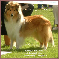 ilonka3
